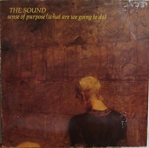 Image for Sound, The (2) – Sense Of Purpose (What Are We Going To Do) Label: WEA – WEA 28.274 Format: Vinyl, 12" Country: Netherlands Released: 1981 Genre: Rock Style: New Wave