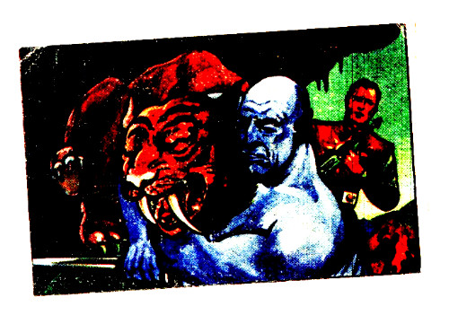 1951 Bowman Jets, Rockets & Spacemen # 25 Wrestling Saber-Toothed Tiger #8, #25 #41