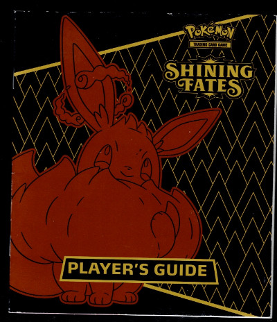 Pokemon: Shining Fates player's gate