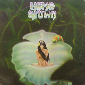 Image for Home Grown Label: SKUA Records – none Series: Home Grown (3) – I Format: Vinyl, LP, Album Country: US Released: 1976 Genre: Jazz, Rock, Latin, Funk / Soul Style: Folk Rock, Soul, Disco