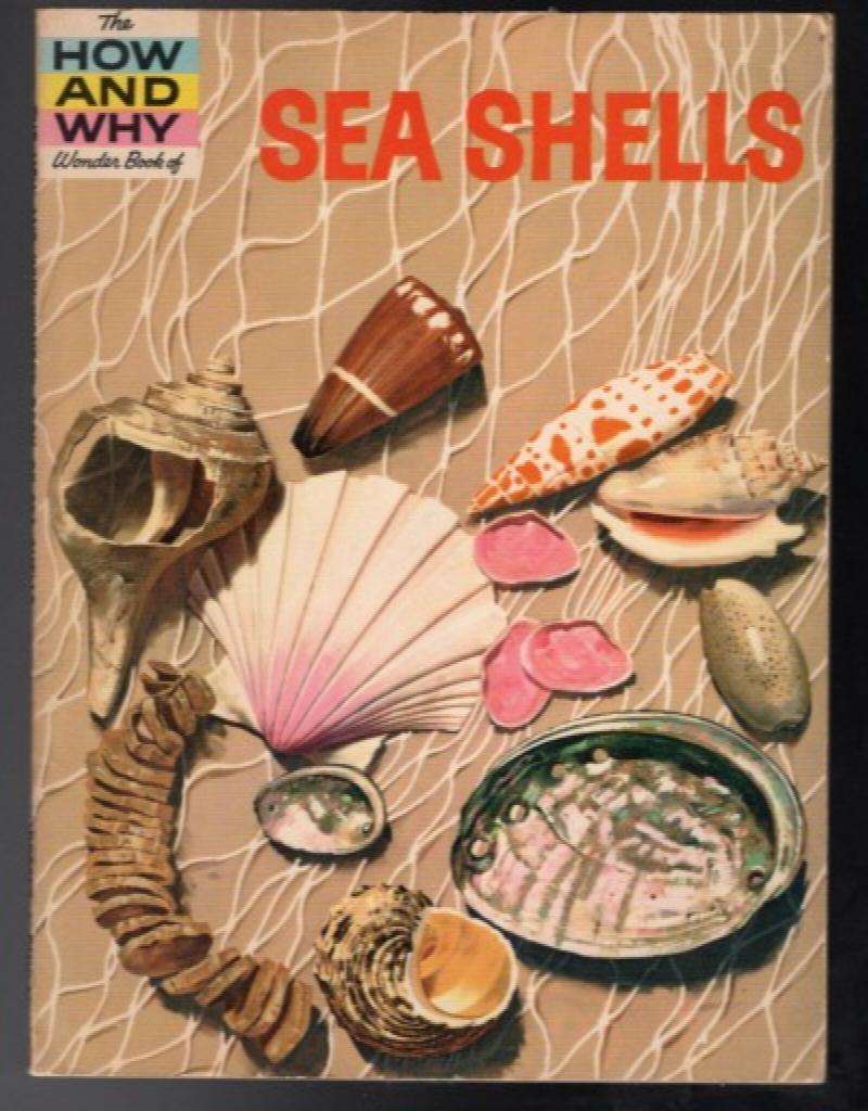 Image for How and Why: Wonder book of Sea Shells