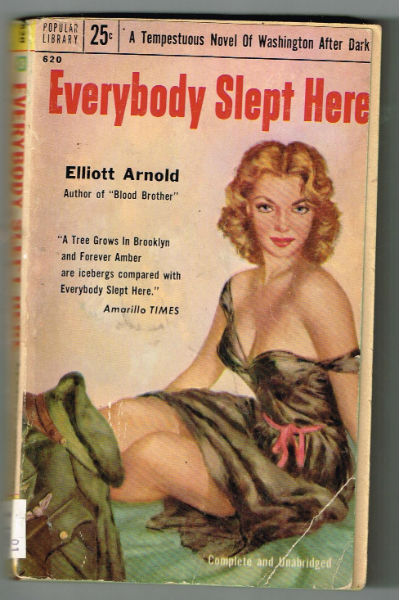 Image for Everybody Slept Here