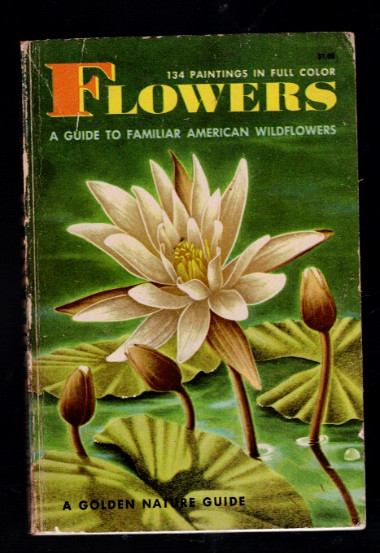 Flowers (A Guide To Familiar American Wildflowers)