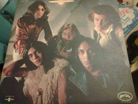 Image for Flamin' Groovies* – Flamingo Label: Kama Sutra – KSBS 2021 Format: Vinyl, LP, Album, Gatefold Country: US Released: 1971 Genre: Rock Style: Rock & Roll, Psychedelic Rock